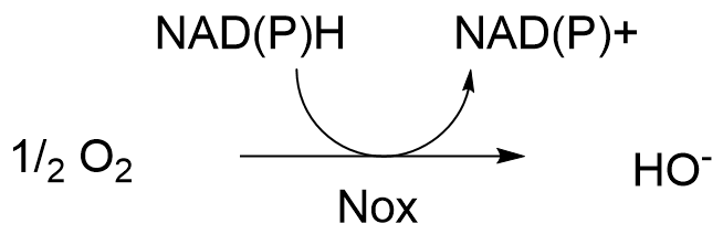 The image shows the unbalance equation of the conversion of O2 to hydroxide, with concomitant conversion of reduced to oxidized cofactors.
