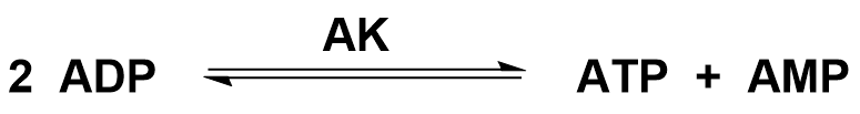 The image shows the reversible action of adenylate kinase on two equivalents of ADP, converting them to AMP (aka adenylate) and ATP respectively.