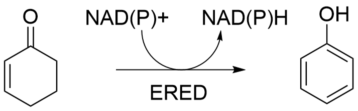 The image shows the conversion of cyclohex-2-enone to phenol, with concomitant conversion of oxidized to reduced cofactors.