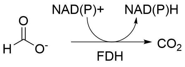 The image shows the conversion of formic acid to carbon dioxide, with concomitant conversion of oxidized to reduced cofactors.