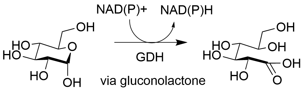 The image shows the conversion of D-glucose to D-gluconic acid, with concomitant conversion of oxidized to reduced cofactors.