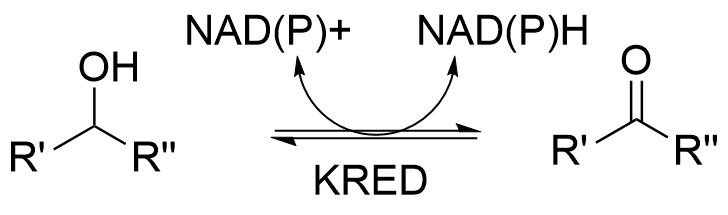 The image shows the conversion of a generic secondary alcohol to a generic ketone, with concomitant conversion of oxidized to reduced cofactors.