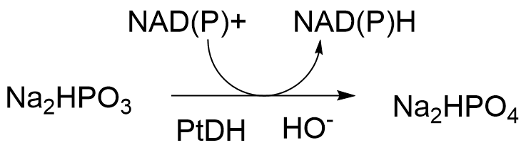 The image shows the conversion of disodium phosphite to disodium phosphate, with concomitant conversion of oxidized to reduced cofactors.