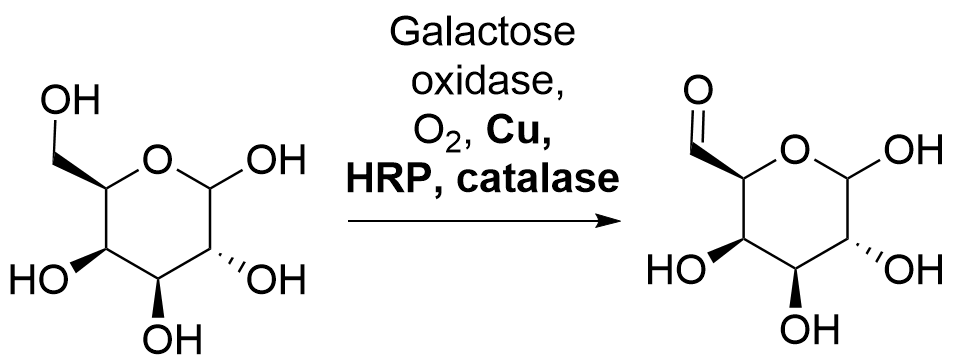 Galactose oxidase is shown aerobically oxidizing the 6-hydroxl group D-galactose to an aldehyde. Copper (I) salt, horse radish peroxidase and catalase are necessary additives in this reaction.