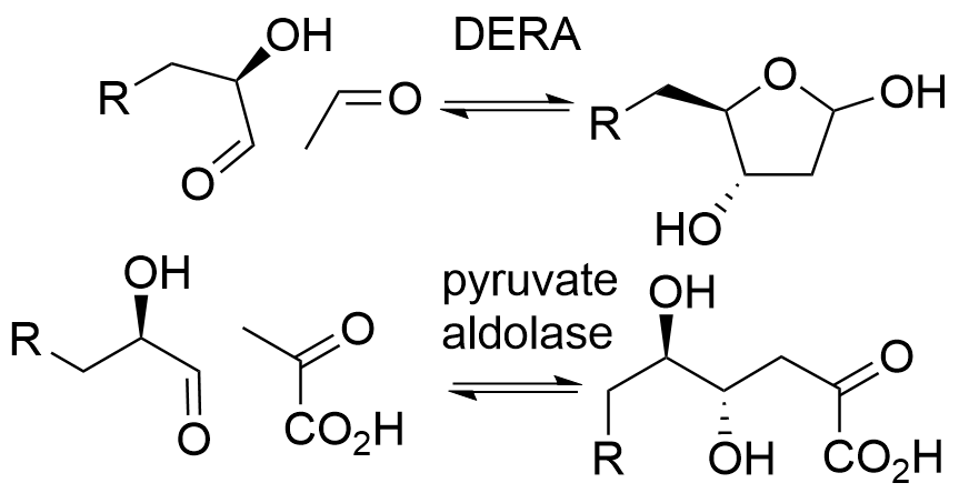 Two reactions are shown. The first is the DERA aldolase catalyzing the reversible aldol reaction of (2R)-2-hydroxypropanal carrying a generic R group at the 3-position, with acetaldehyde to give a generic 2-deoxyribose product with the generic R group at the 5-position (for the native reaction R = hydroxy). The second reaction shows pyruvate aldolase catalyzing a reversible reaction of the same 3-R substituted (2R)-2-hydroxypropanal with pyruvic acid to give a 6-R substituted (3S,4R)-3,4-dihydroxy-2-oxohexanoic acid product