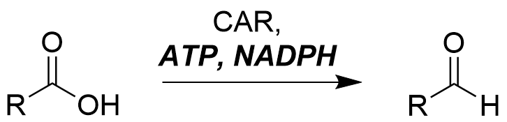 Carboxylic acid reductase is shown catalyzing the reduction of a generic carboxylic acid to a generic aldehyde. ATP and NADPH are required cofactors, and both require a recycling system either of which aren’t shown in this section.