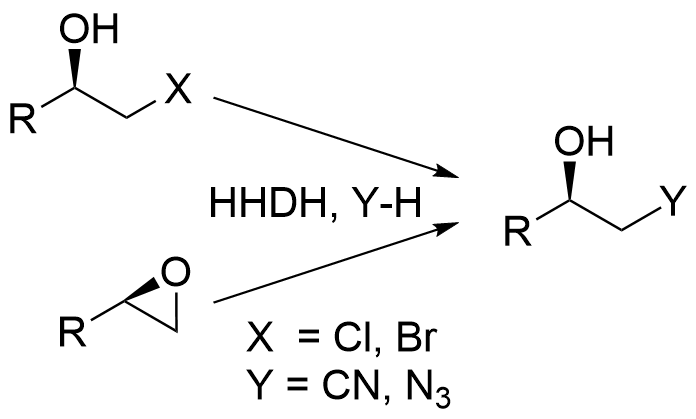 Two reactions are shown. This first is halohydrin dehalogenasae catalyzing a reaction of generic 1-haloalkan-2-ol with cyanide or azide to give a generic 1-cyano or 1-azido-alkan-2-ol product. The second reaction is the halohydrin dehalogenasae catalyzing the ring opening of a generic terminal epoxide with cyanide or azide to give the same product. No cofactors are required.