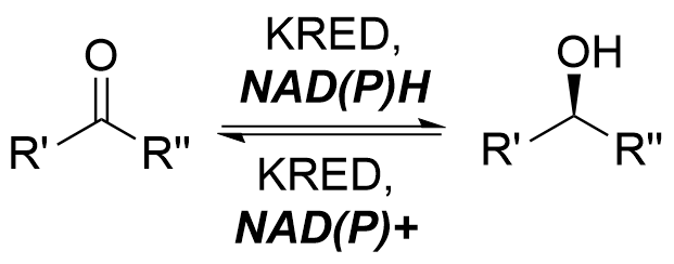 A ketoreductase catalyzes the reversible conversion of a generic ketone to an asymmetric secondary alcohol. NADPH or NADH is required as a cofactor for this reaction and is converted to the oxidized forms NADP+ and NAD+ respectively. A cofactor recycling system is required but not shown in this section.