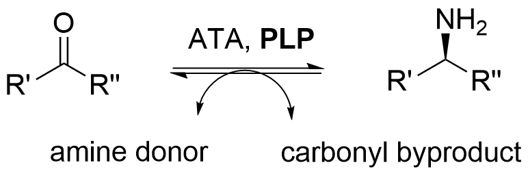 A transaminase and PLP cofactor catalyzes the reversible conversion of a generic ketone and an unspecified amine donor to a primary amine and a carbon byproduct. The amine’s single alkyl substituent has an αasymmetric center. The PLP cofactor does not require recycling.